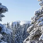 Apartmán Waldtwin 1 - Balkon Mit Naturblick Und Seenaehe 5 Minuten *