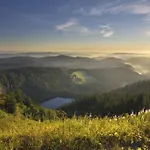 Waldtwin 1 - Balkon Mit Naturblick Und Seenaehe 5 Minuten
