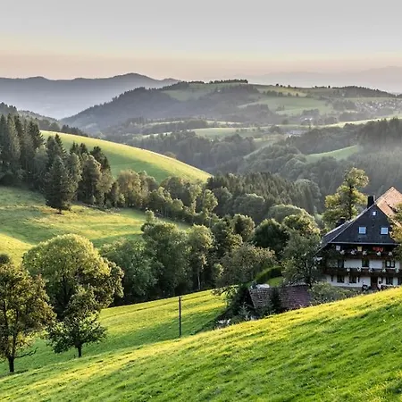 Waldtwin 1 - Balkon Mit Naturblick Und Seenaehe 5 Minuten