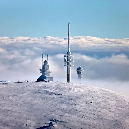 Waldtwin 1 - Balkon Mit Naturblick Und Seenaehe 5 Minuten شقة