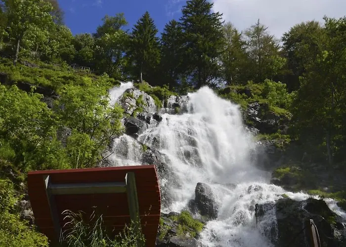 Апартаменты Waldtwin 1 - Balkon Mit Naturblick Und Seenaehe 5 Minuten Титизее-Нойштадт